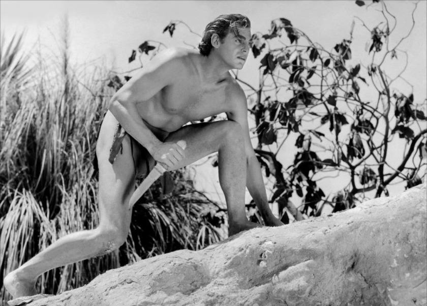 Tarzan, a.k.a. Mr. Weismuller, source: clivejames.com